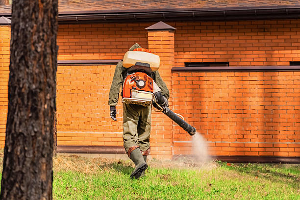 Trusted Ant Control service in Great Bend, NY - Nex Pest Control
